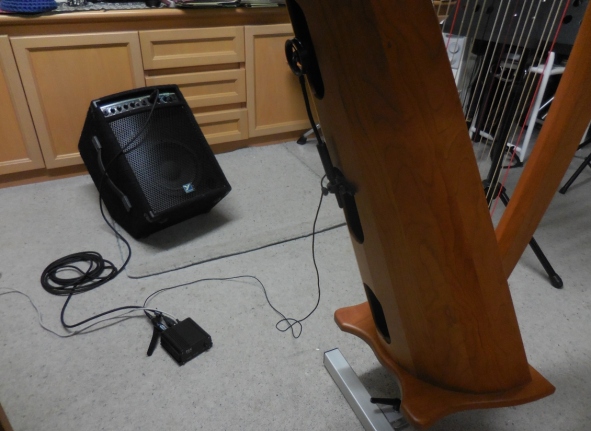 Set-Up showing mic connected to Phantom Power Box and then into the amp.