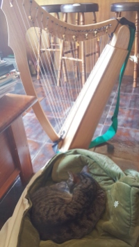 Leo and my Lap Harp. Every cat knows there is nothing better than a harp cover to sleep in!